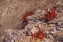 029 Fish River Canyon